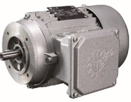Permanent magnet motor