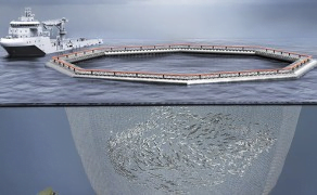 Dette billede illustrere Manner Metal – Miljøvenligt fiskeopdræt