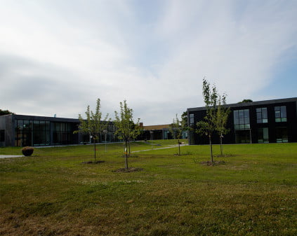 Dette billede illustrere MARTEC er godkendt som udbyder af GWO BTT – et certifikatgivende kursus til vindmølleindustrien