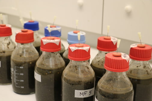 Dette billede illustrere Krüger – AAU bruger små fede syrer til at gøre rensningsanlæg mere klimavenlige