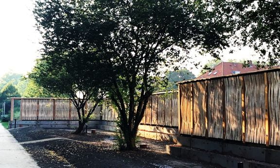 Dette billede illustrere Teknologisk Institut – Grønne klimaskærme kan opsuge vand og bremse trafikstøj