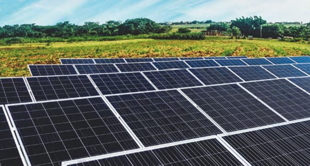 Dette billede illustrere Hans Følsgaard – Grøn energi og biodiversitet går hånd i hånd