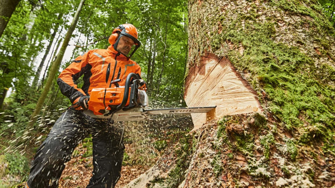 Dette billede illustrere STIHL – Verdens mest kraftfulde serieproducerede motorsav kommer i ny udgave