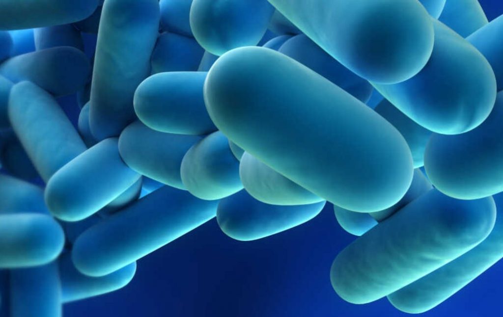 Dette billede illustrere Det tekniske hjørne – Værd at vide om legionærsyge og befugtningsanlæg