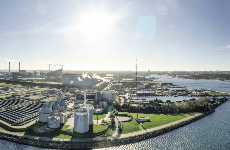 Diatom AS deltager på STF Årsmødeudstilling på Lynetten fredag den 3. september