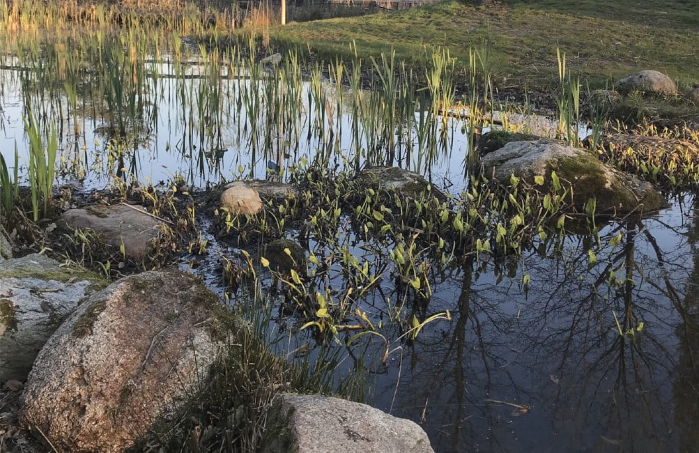 Dette billede illustrere Rambøll – Smart vandhåndtering bidrager til klimasikring af byer