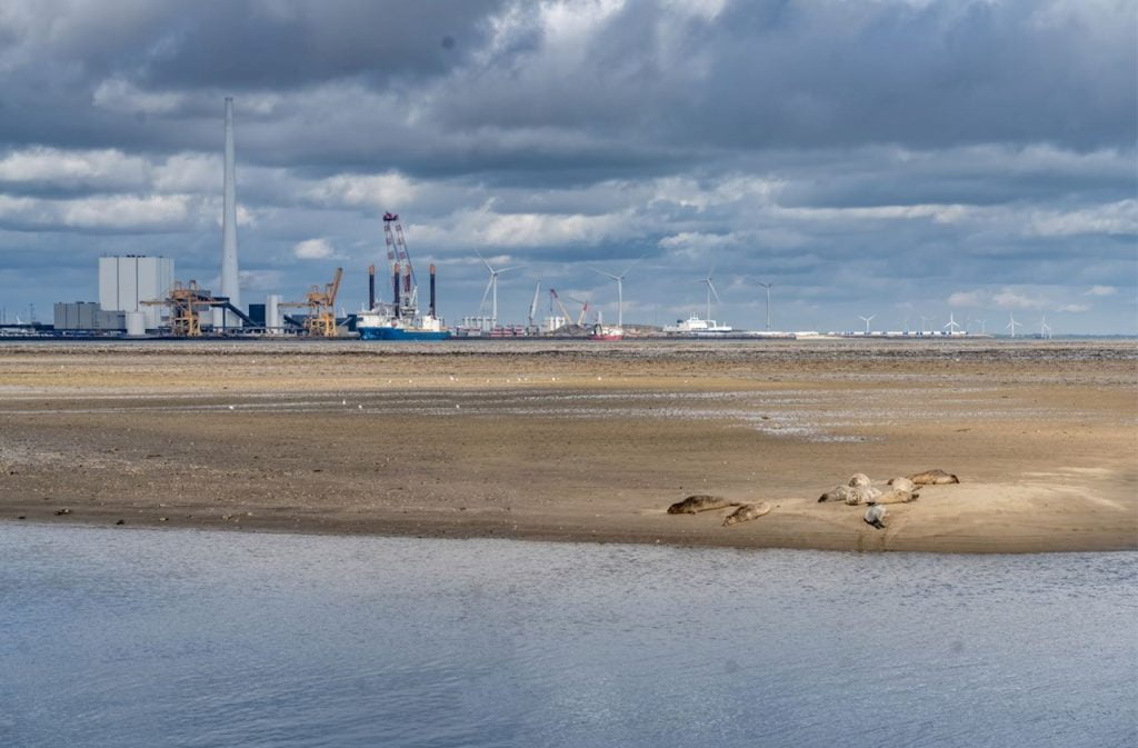Dette billede illustrere ABB skal bidrage til bæredygtig fjernvarmeforsyning i Esbjerg ved Vadehavet