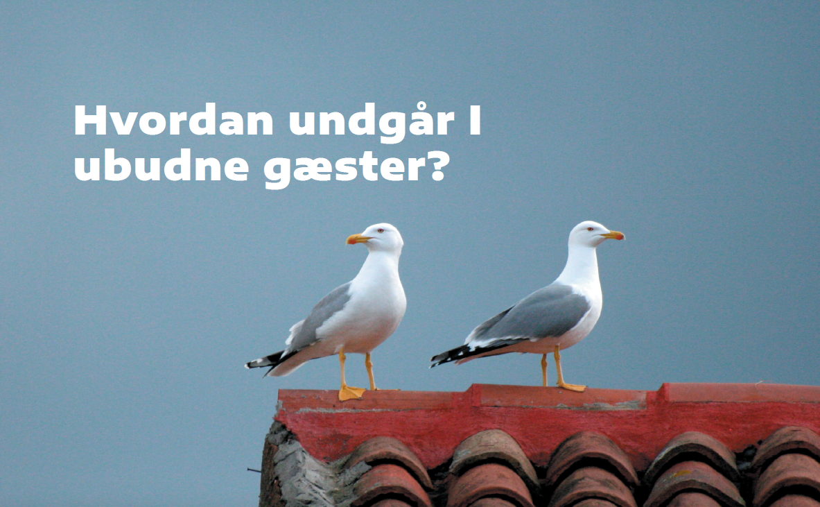 Dette billede illustrere Hvordan undgår i ubudne gæster?