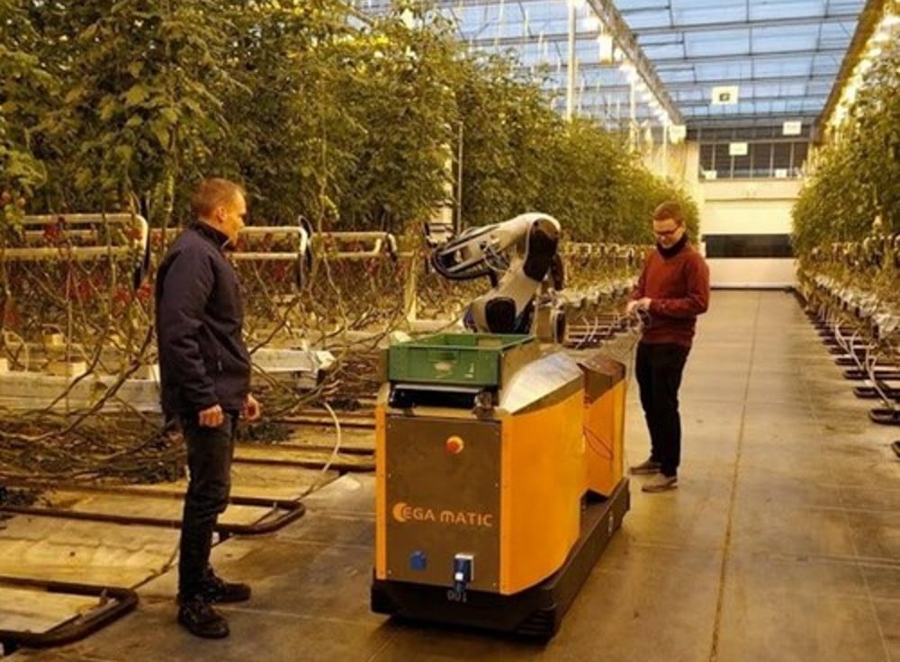 Dette billede illustrere Senmatic – Plukkerobotter flytter snart ind i drivhusene