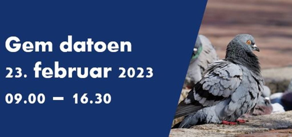 Dette billede illustrere Edialux/Pelsis – Kursus i fuglesikring – gratis seminar