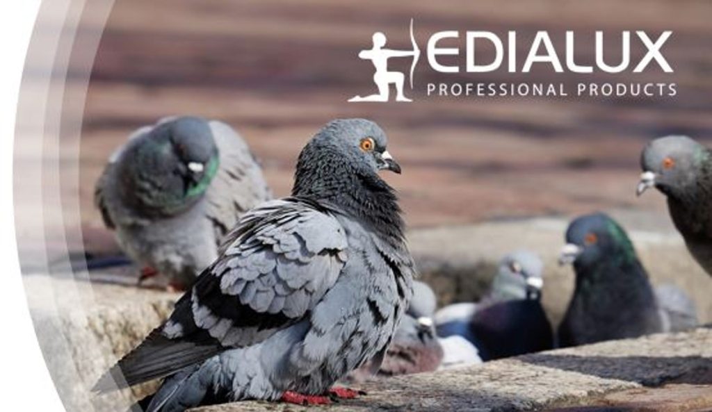 Pelsis Danmark er en del af den europæiske koncern, Pelsis, som udvikler og sælger produkter til bekæmpelse af skadedyr. Vi er en virksomhed med ambitiøse vækstmål og med et ønske om at gøre os kraftigt bemærket i vores branche.