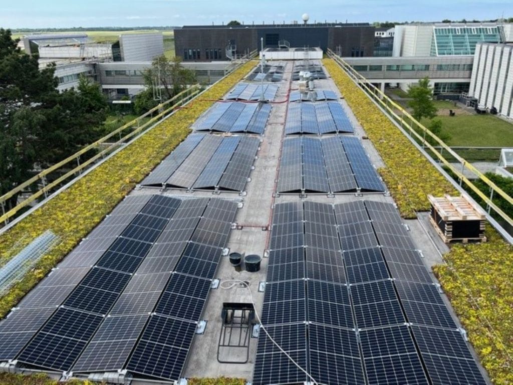 Ved renoveringen af taget på Naviairs kontorbygninger er der tilføjet solceller og sedum, der fungerer som en naturlig faldsikring.