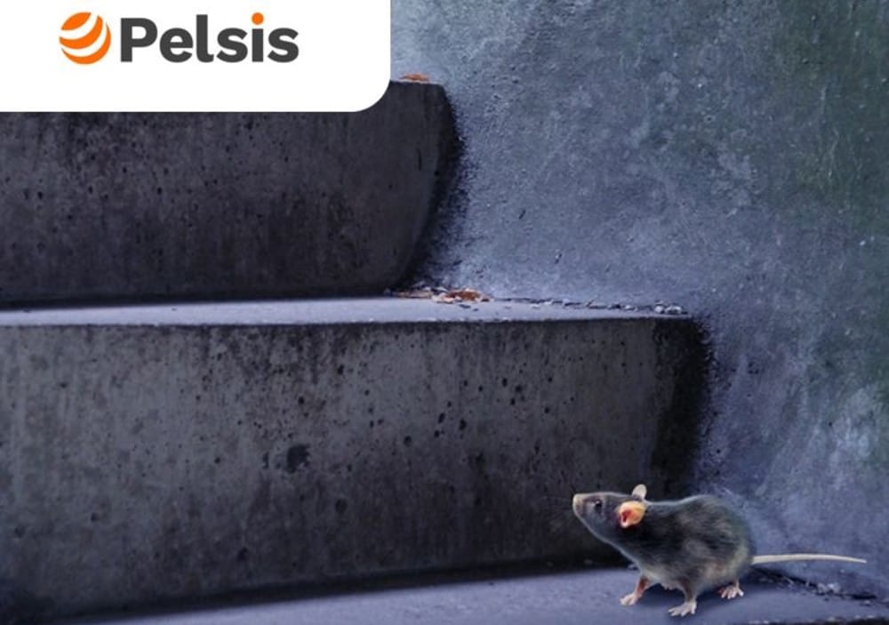 RobanGold, til monitorering af gnavere fra Pelsis