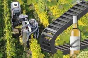 igus | Robotter tager sig af høsten af druer
