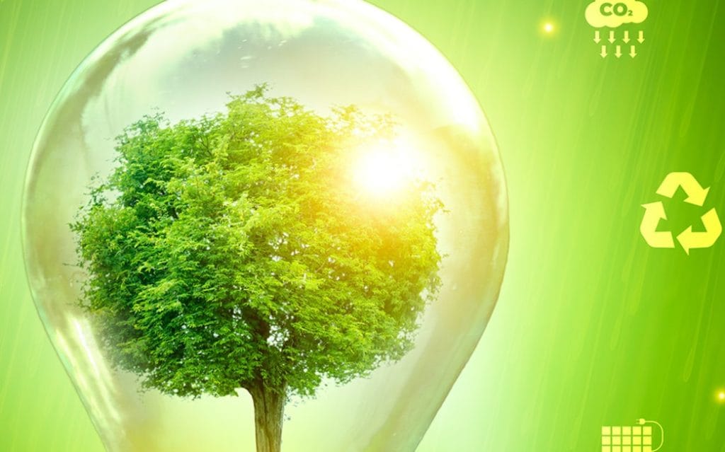 ICS udgiver sin første ESG-rapport