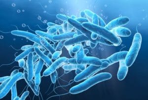 Der ligger en indbygget konflikt i ønsket om at spare på energien og samtidig sikre sig mod Legionella i brugsvandet. Legionellabakterier trives nemlig bedst ved temperaturer mellem 25-47°C.  Det betyder, at energibesparende tiltag som at sænke temperaturen i varmtvandssystemerne utilsigtet kan skabe ideelle vækstbetingelser for de sundhedsskadelige bakterier. Arkivfoto: Colourbox.