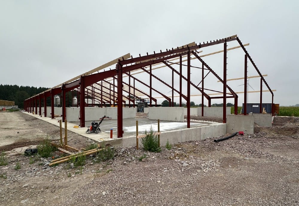 Snart plads til flere kalve i Skänninge i Sverige