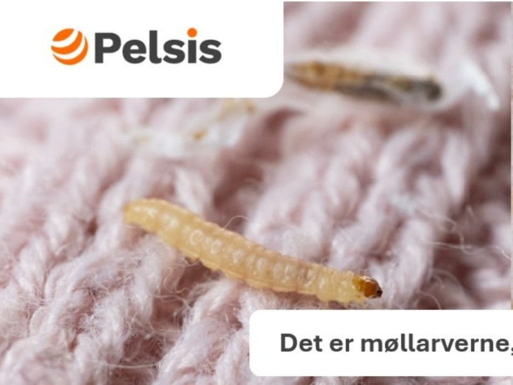 Fly Inn – designet specielt til møl