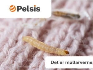 Fly Inn – designet specielt til møl