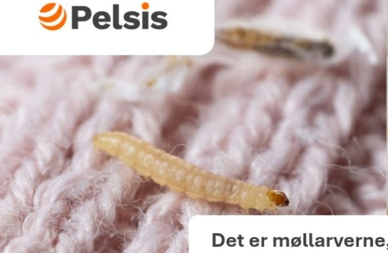 Pelsis – Fly Inn – designet specielt til møl
