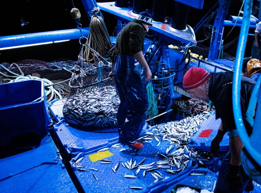 Logistikemballage der klarer fiskeriindustriens udfordringer (se video)