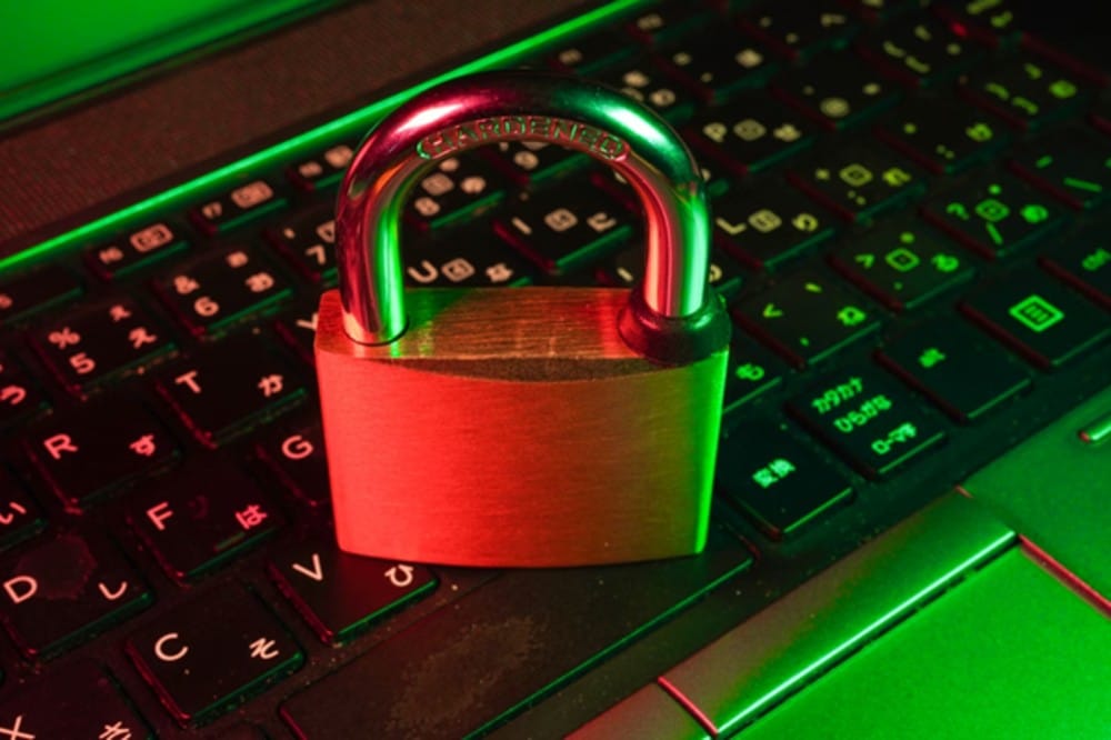 cybersikkerhed