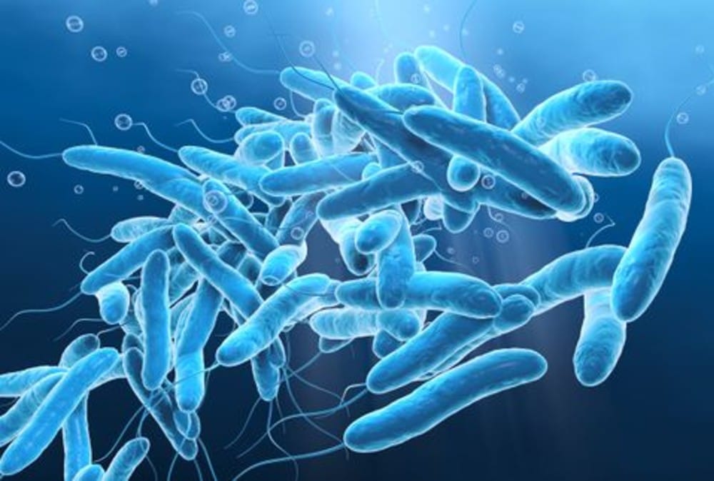 Hvis Legionellaprøven tages forkert, risikerer man at overse kritiske bakteriekoncentrationer – eller omvendt at igangsætte voldsomme kemiske eller termiske behandlinger på et forkert grundlag. Arkivfoto af Legionella: Colourbox