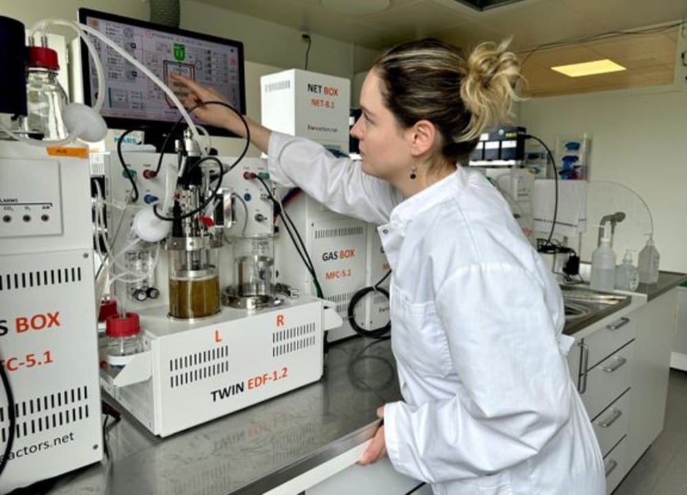 — Når man dyrker mikroorganismer på genanvendt CO2, er oprensningen helt afgørende, fordi det er det sidste, vigtige trin, der gør, at et nyt mikrobisk råprodukt overhovedet kan ende som en sikker fødevare, siger Jolanda ter Horst, seniorspecialist hos Teknologisk Institut. Foto: Teknologisk Institut