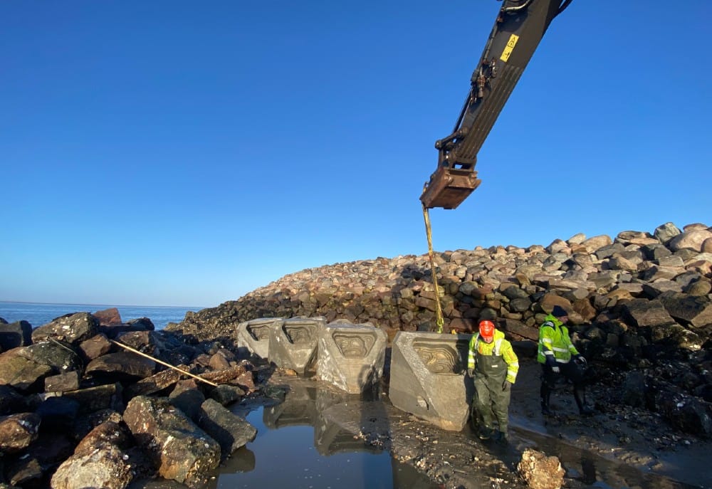 ECOncrete Coastalock-installation i april i Esbjerg Havn. Foto: ECOncrete