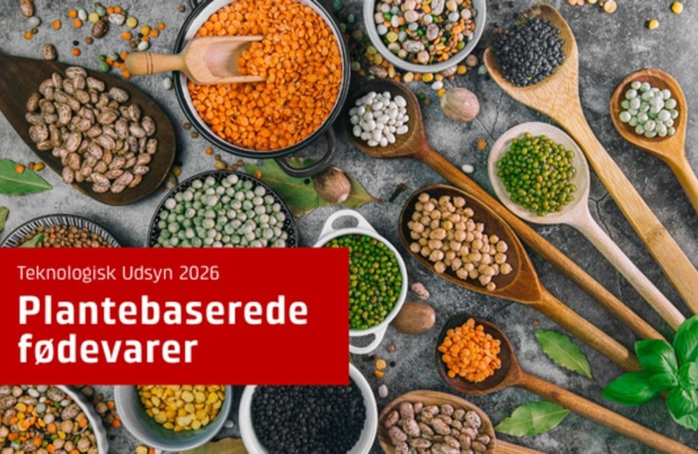 plantebaserede fødevarer