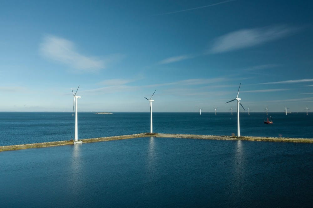 Ny platform gør det lettere at finde viden om havmiljøet til anlægsprojekter og forskning - Foto: Mads Eneqvist